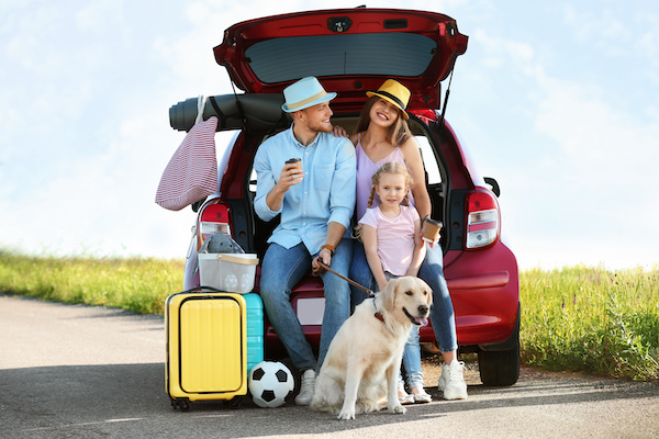 Tips for Road Tripping with Pets